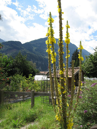 interlaken043