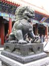 peking_131