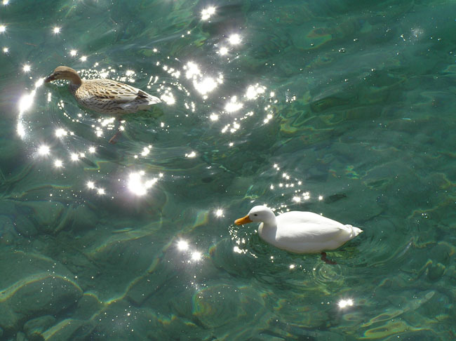 thun_gruyeres_laussane_neuchatel_soloturn084