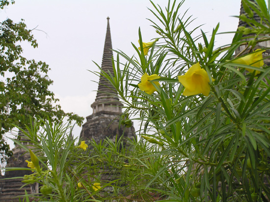 thailand167
