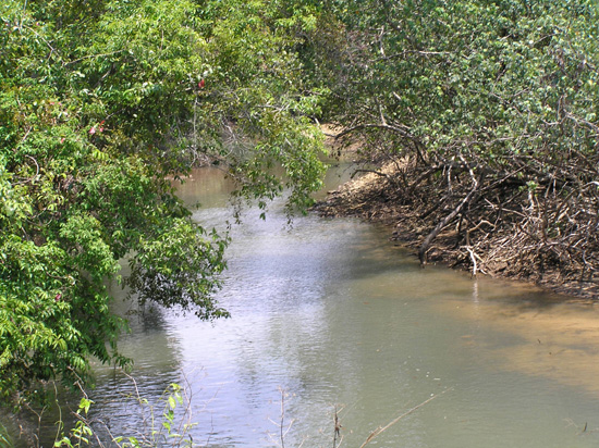 thailand192